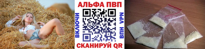 APVP VHQ  Гдов 