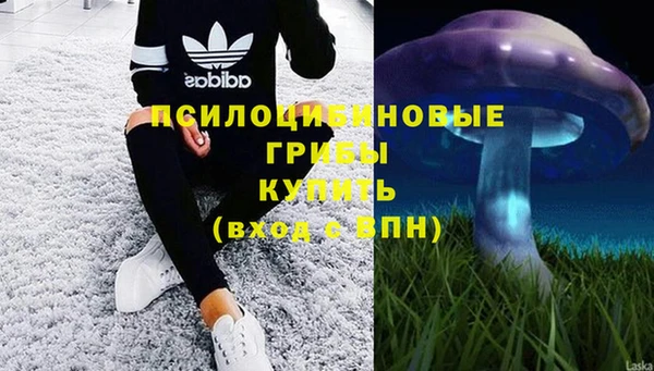 MESCALINE Липки