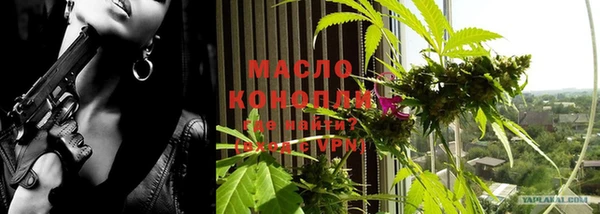 сатива Волгодонск