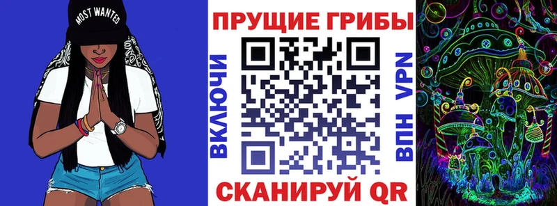 ссылка на мегу сайт Гдов Псилоцибиновые грибы Cubensis